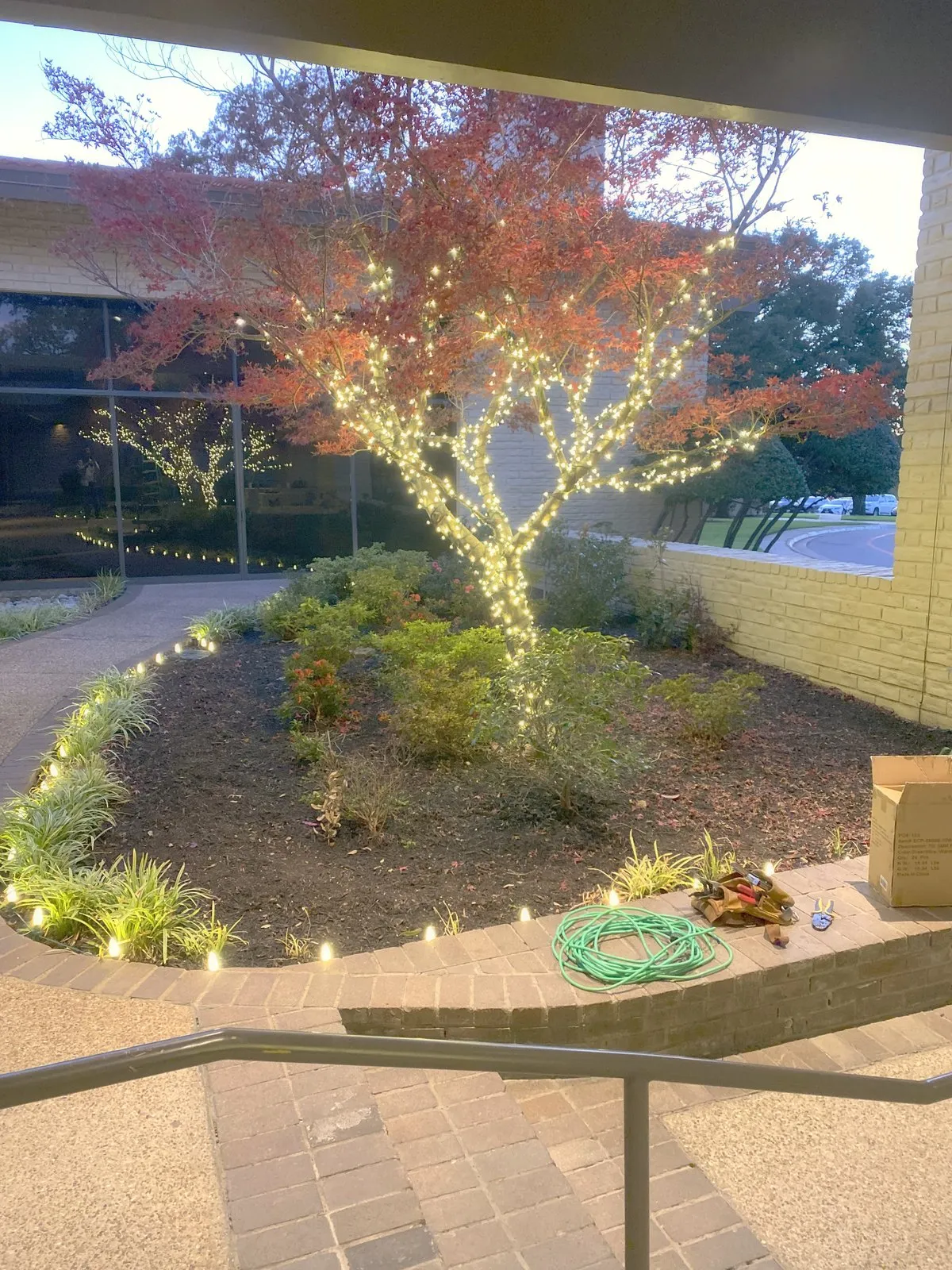 Tree and bed lighting at dusk, installed by South Custom Lighting in North Texas